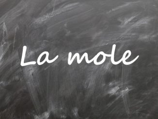 Leçon sur la mole